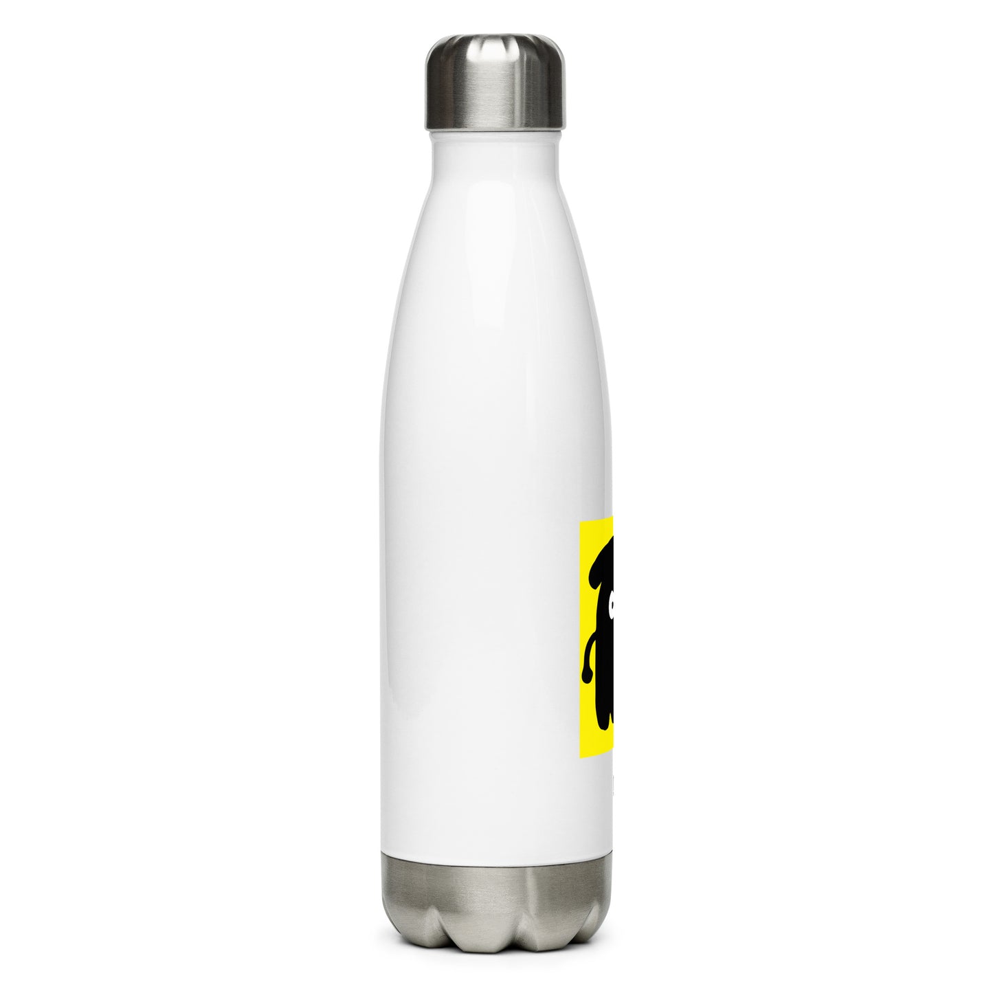Stainless steel water bottle